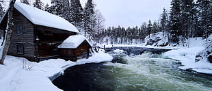brown wooden cabin house during winter season HD wallpaper