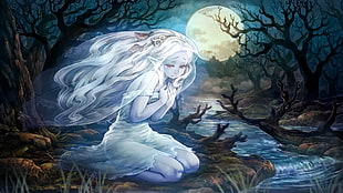 female anime character illustration, Dragon's Crown, fantasy art, Moon, ghost