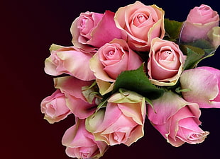 pink rose flower bouquet HD wallpaper