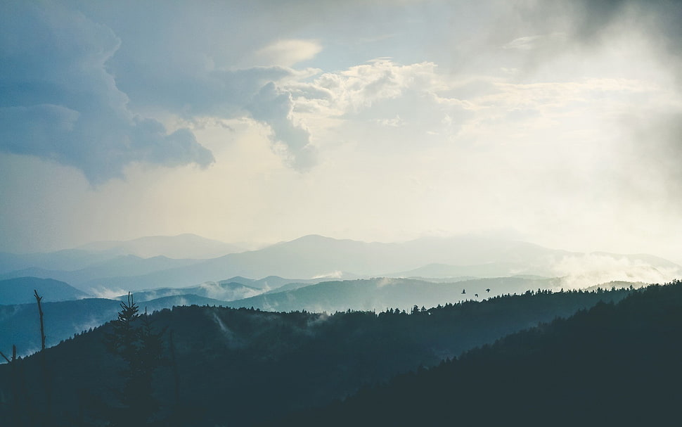 mountains, landscape, nature, sky, trees HD wallpaper