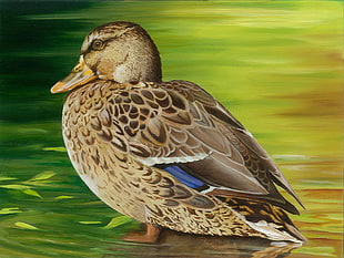 brown duck in green field painting, montana