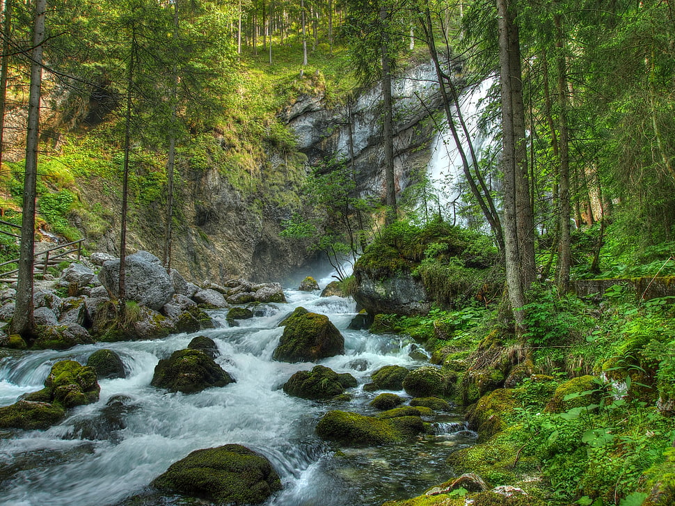 water falls near trees HD wallpaper