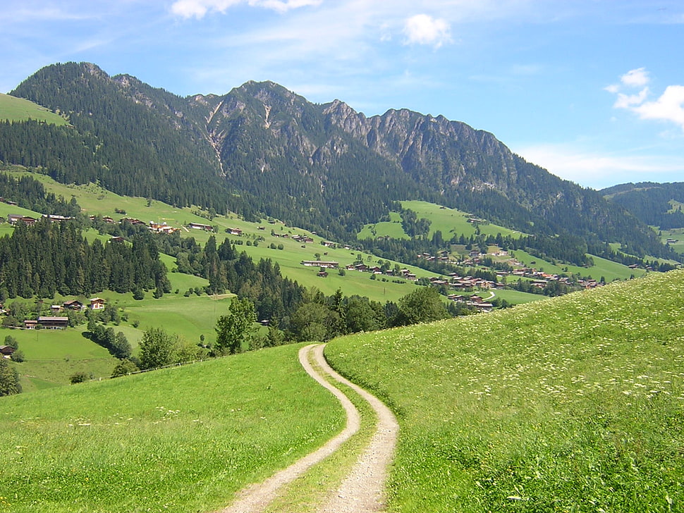 grass covered mountain under blue sky HD wallpaper