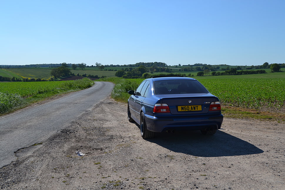 blue sedan, BMW, E 39, car HD wallpaper