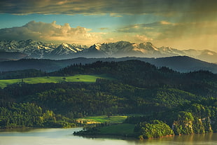 green forest digital wallpaper, mountains, Poland, Tatra, landscape