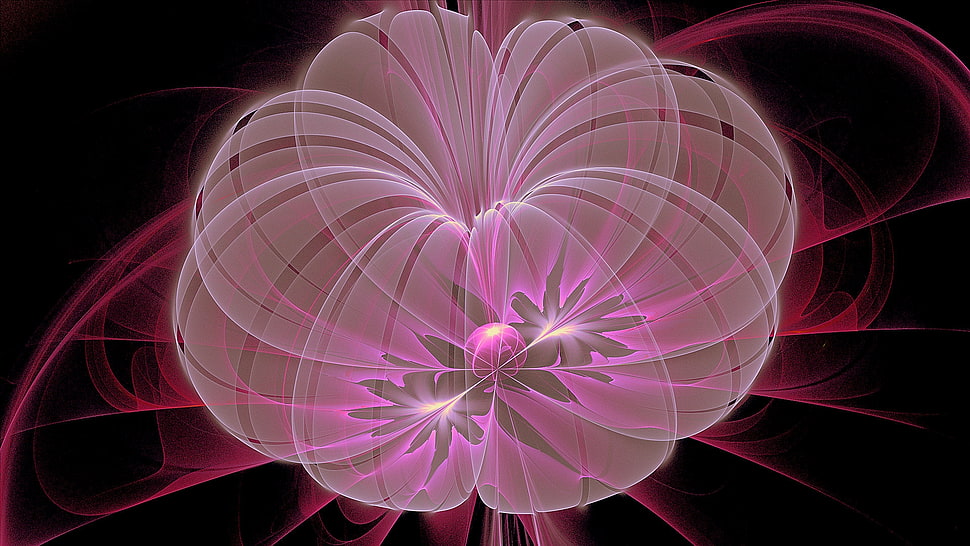 purple and red 3D wallpaper HD wallpaper