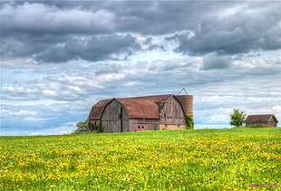 photography of brown barn near grass field under gray sky during daytime, flowering, carson, wi