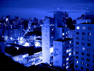 blue high-rise buildings, cityscape
