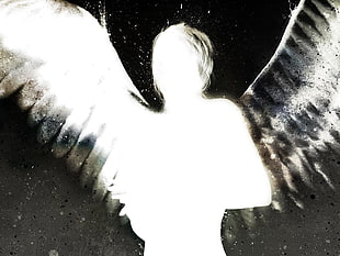 Abstraction,  Shape,  Feathers,  Angel
