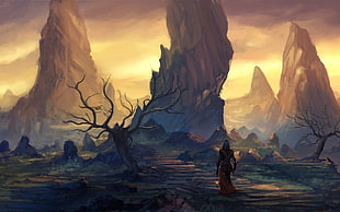 man standing facing brown mountains illustration, fantasy art, landscape