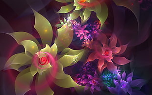 multicolored flowers wallpaper HD wallpaper