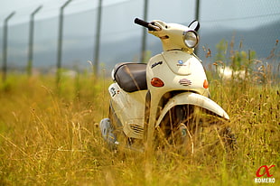 white motor scooter on green grass field during daytime HD wallpaper