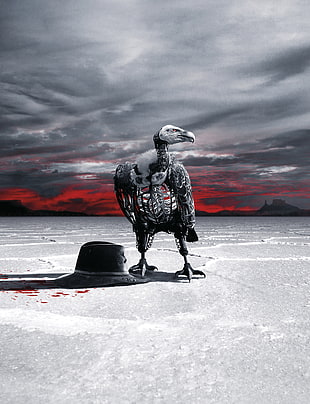 black bird illustration, Westworld, Season 2, 2018