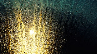 rain, water drops, water on glass