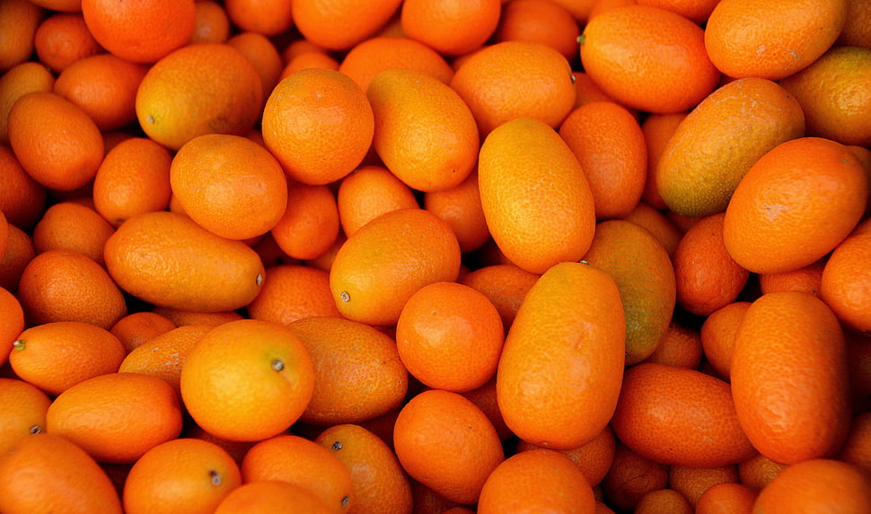 orange fruit lot HD wallpaper