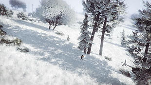 pine trees, Grand Theft Auto V, Grand Theft Auto Online, snow, wood HD wallpaper