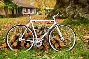 white fixed-gear bike beside pile of brown wood logs