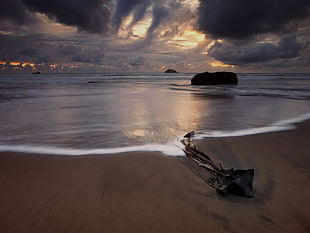 brown rock isle, beach, landscape, sea, nature HD wallpaper
