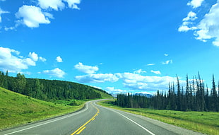 Banff National Park, Road, Marking, Turn