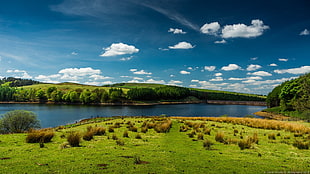 green field and river panoramic photo