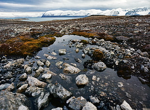 stones and water, svalbard, norway