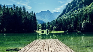 brown wooden dock, nature, forest, lake, dock HD wallpaper
