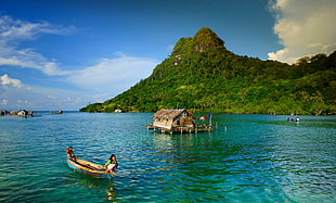 brown wooden boat, nature, landscape, island, boat