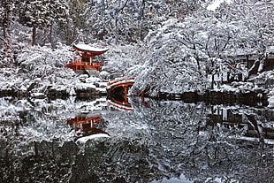 orange and white pagoda, Japan, winter, pagoda, snow