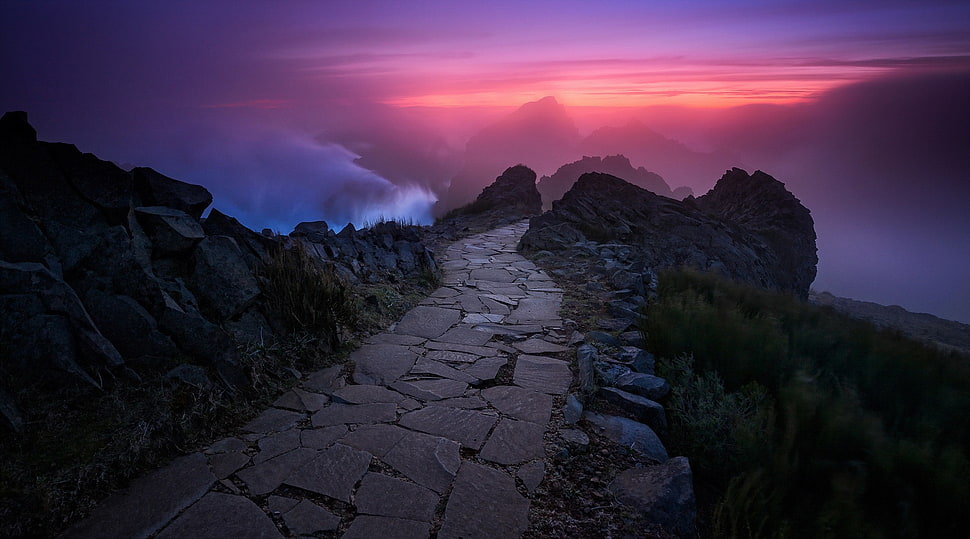 grey road pathway, landscape, path HD wallpaper