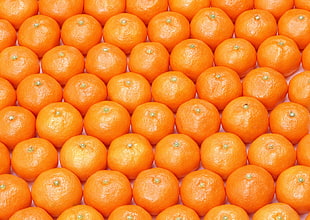 orange Tangerine fruits lot HD wallpaper