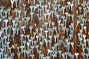 hanged key lot graphic wallpaper