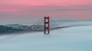 Golden Gate Bridge, San Francisco, mist, landscape, sunlight, bridge