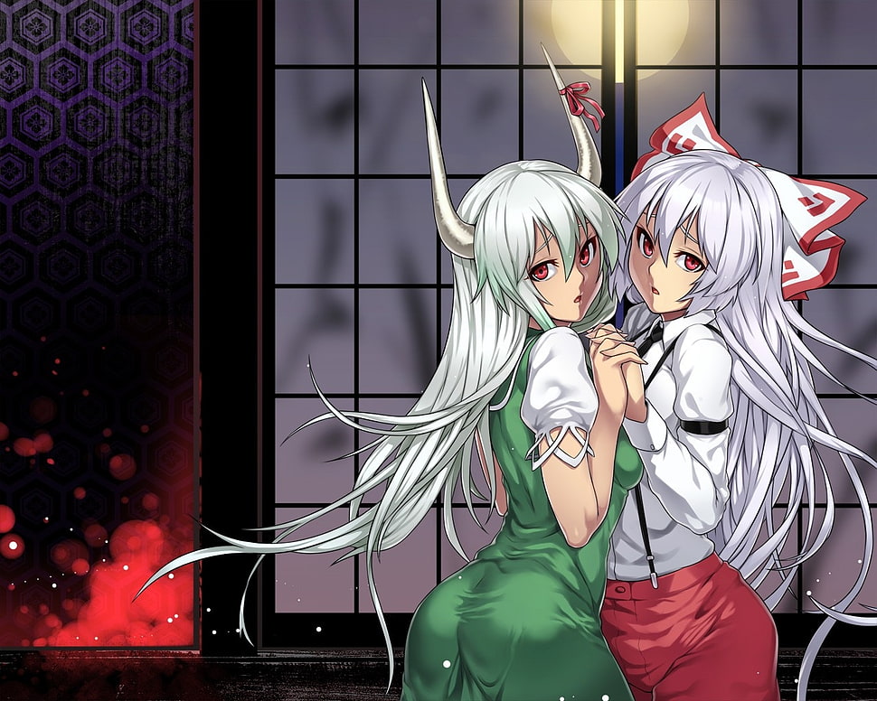 two white haired female anime character HD wallpaper