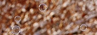 selective focus photography of four bubbles