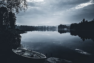 white and black boat on body of water, nature, landscape, Norway, trees