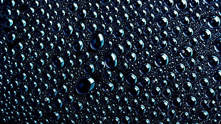 dew drops, abstract, water drops HD wallpaper