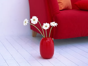photo of white daisy on red glass vase