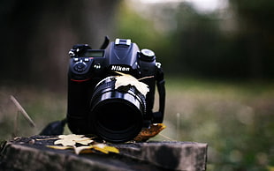 Nikon DSLR camera HD wallpaper