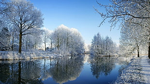 body of water, nature, winter, river