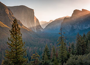 landscape photo of mountains during daytime, el capitan HD wallpaper