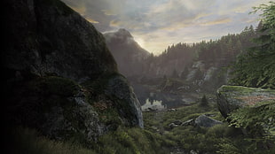green tree, The Vanishing of Ethan Carter, video games, landscape