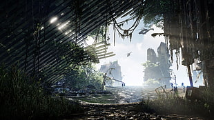 console game application, Crysis 3 HD wallpaper
