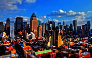 brown high-rise buildings, cityscape, depth of field, New York City