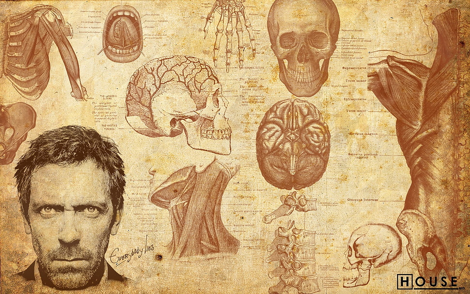 Dr. House illustration, men, artwork, Gregory House, actor HD wallpaper