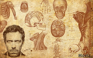 Dr. House illustration, men, artwork, Gregory House, actor