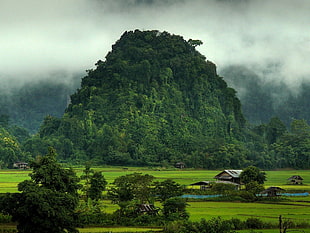 green mountain, mountains HD wallpaper