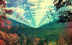 red and green trees, album covers, cover art, Tame Impala , Innerspeaker HD wallpaper