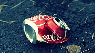 photo of Coca-Cola tin can on the ground HD wallpaper