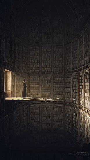 woman standing on floor infront of books HD wallpaper