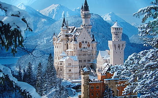 white castle near a mountain